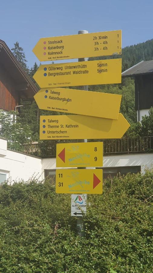 Deluxe Panorama Apartment-Maibrunn-Alm Bad Kleinkirchheim Exterior foto