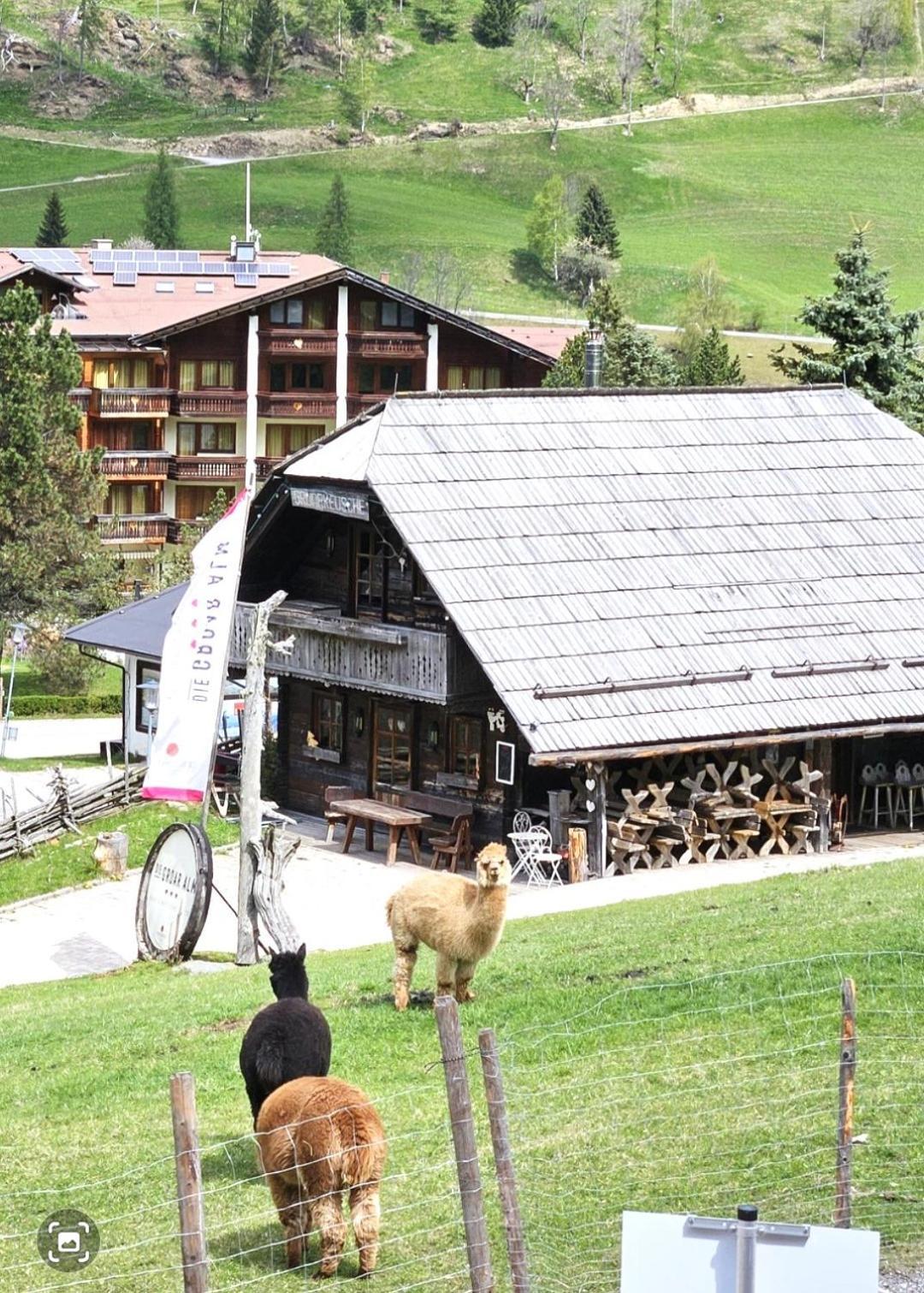 Deluxe Panorama Apartment-Maibrunn-Alm Bad Kleinkirchheim Exterior foto